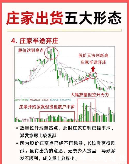 世界杯下注：赔率背后的深层逻辑解析